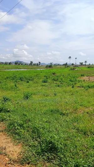 Real Estate Property