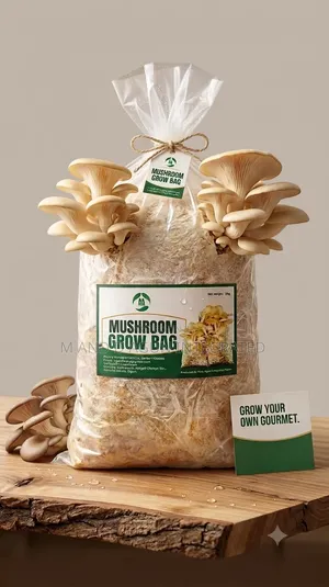 Mushroom Grow Bag