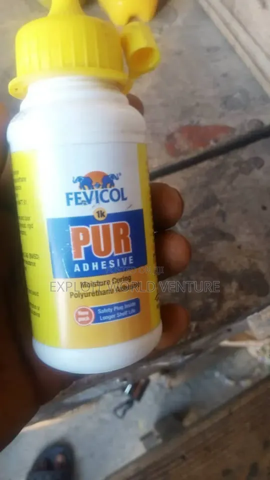 Fevicol Pur