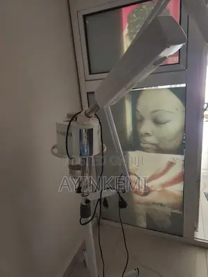 Facial Steamer