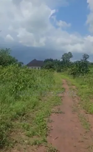 100ft By100ft by Second White House Idumu-Inei Quarters Issele-Uku
