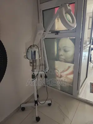 Facial Steamer