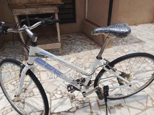 Sport Bicycle Size 28