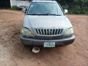 Lexus RX 2002 Gray