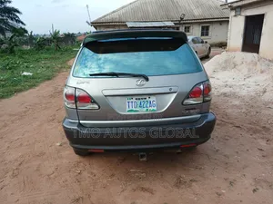 Lexus RX 2002 Gray
