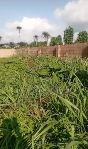 50 by 100 at Idumu Diagbor Quarter Onicha Ugbo, Buy and Build Area
