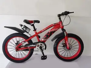 20-Inch Fat Tire Kids Bicycle – Nigeria for 7-18 Years