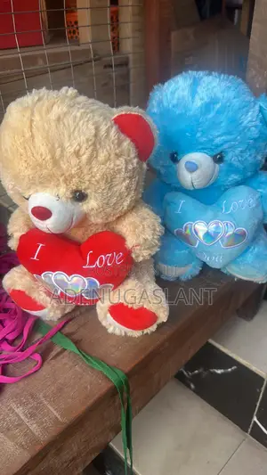 Teddy Bear for Child