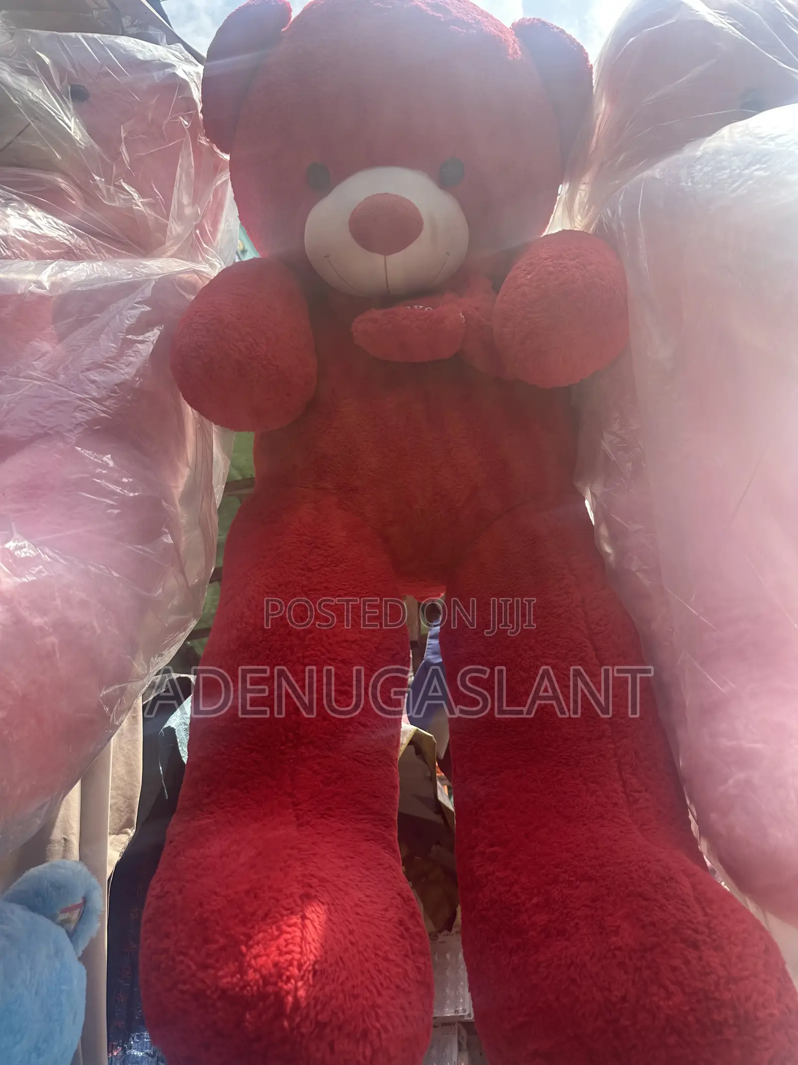 Big Teddy Bear