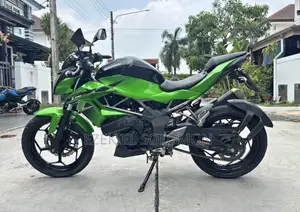 Kawasaki 2017 Green