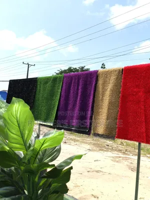 Colored Carpet Grass