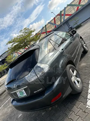 Lexus RX 2006 Gray