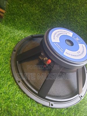 Sunnybest 15-Inch Single Magnet 75.5 Coil