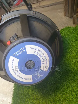 Sunnybest 15-Inch Single Magnet 75.5 Coil