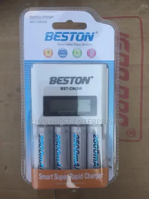 Beston Charger With Battery