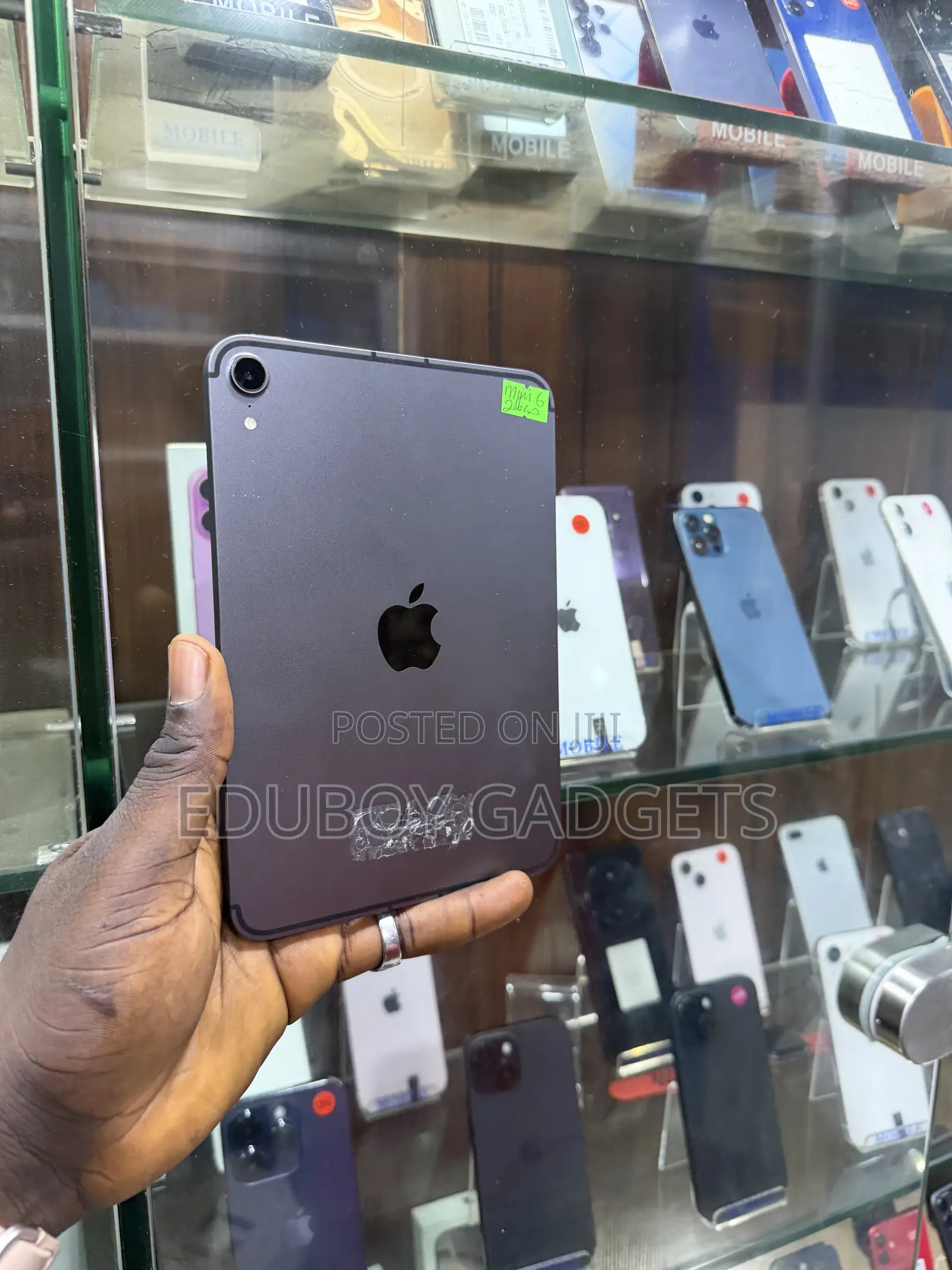 Apple iPad mini 6 256 GB Gray