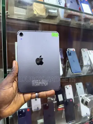 Apple iPad mini 6 256 GB Gray