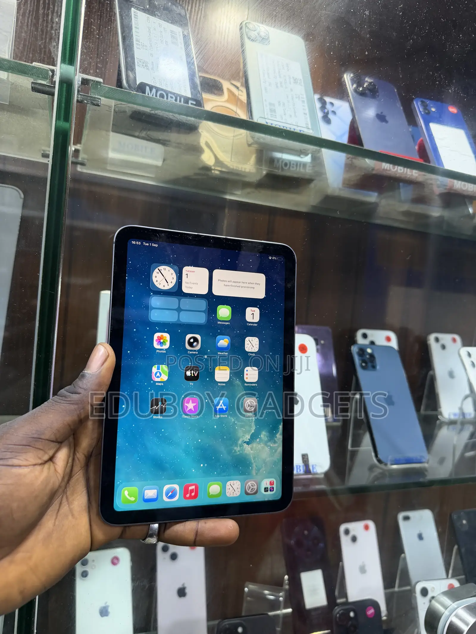 Apple iPad mini 6 256 GB Gray
