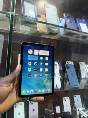 Apple iPad mini 6 256 GB Gray