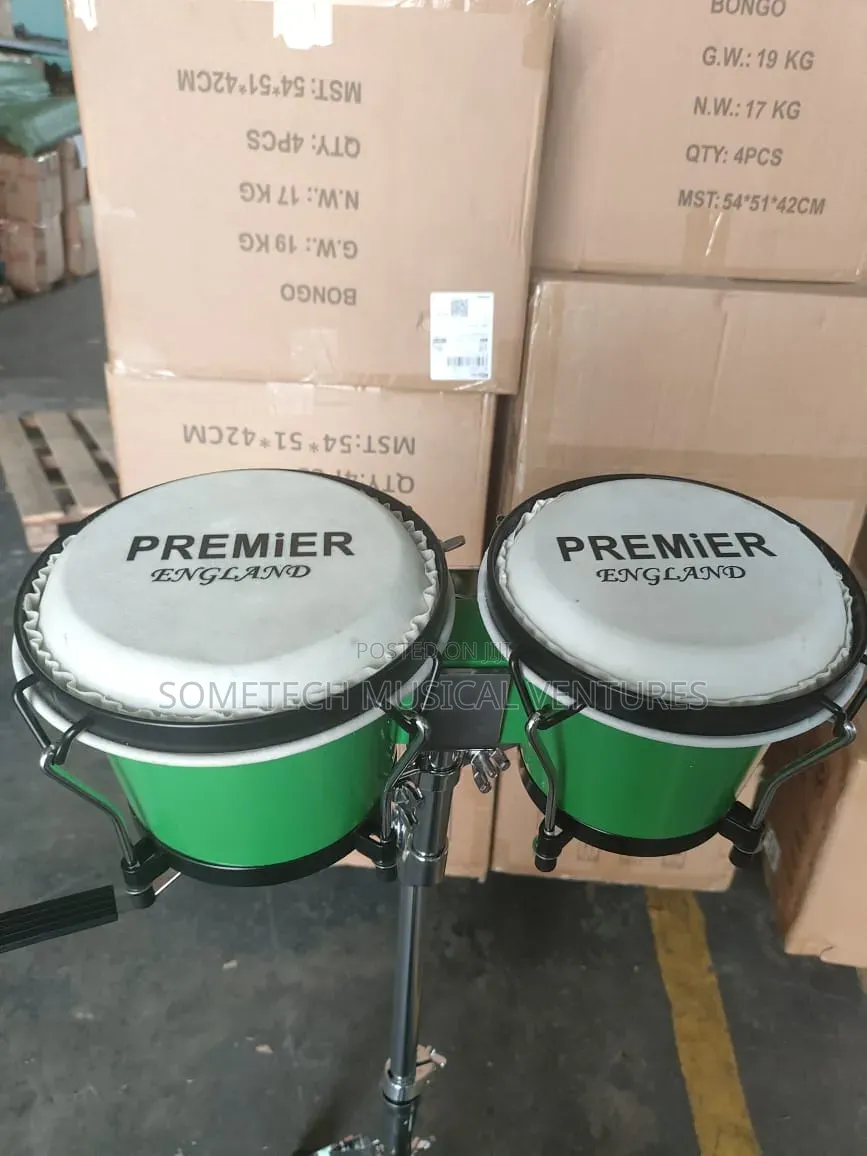 Small Bongo