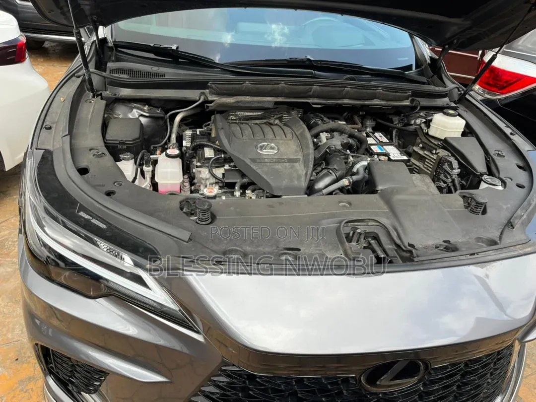 Lexus RX 2024 Gray
