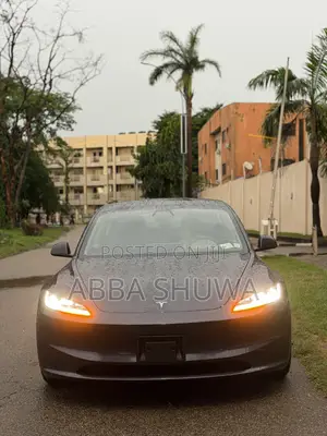 Tesla Model 3 Long Range AWD 2025 Gray