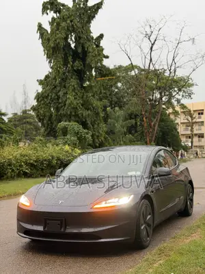 Tesla Model 3 Long Range AWD 2025 Gray