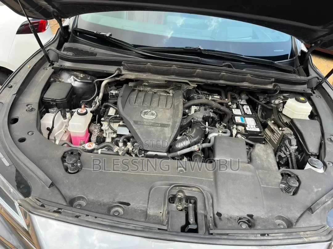 Lexus RX 2024 Gray