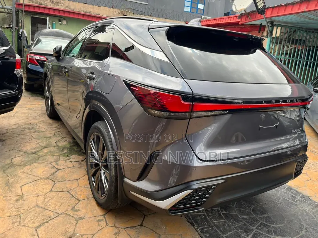 Lexus RX 2024 Gray