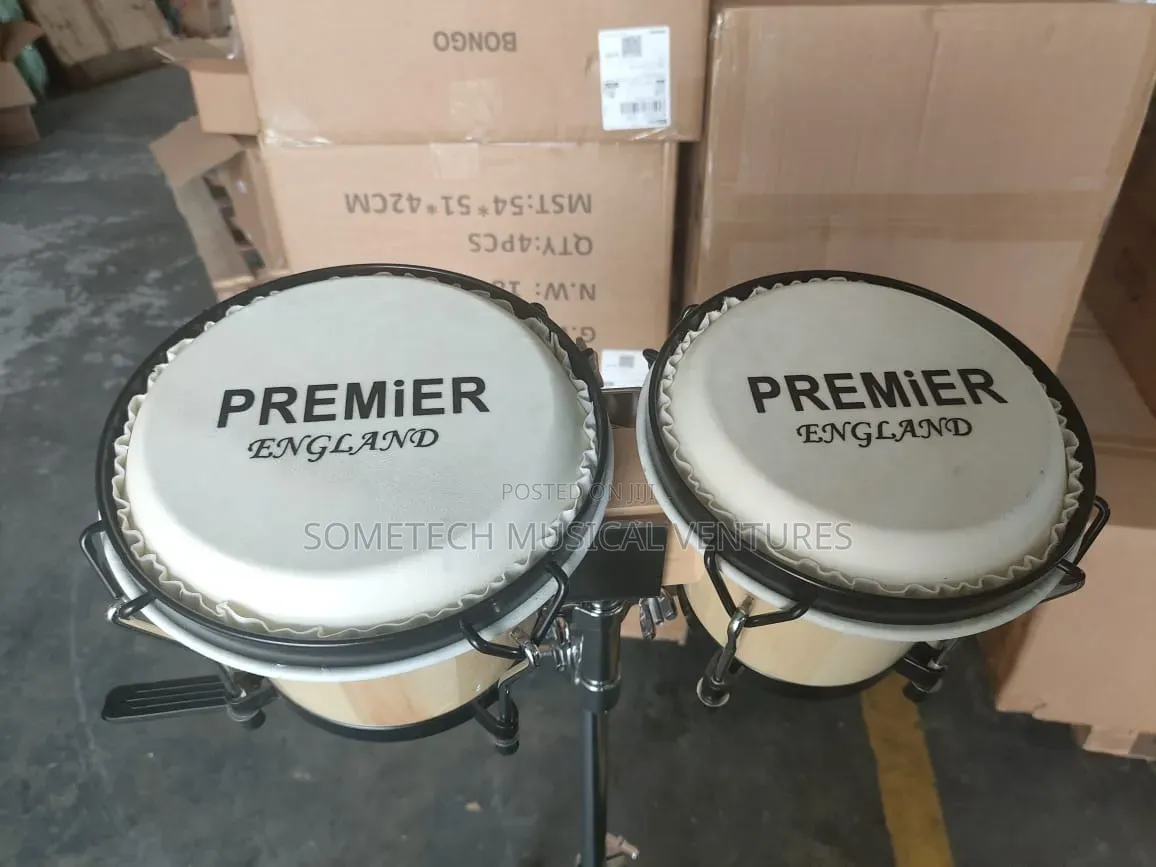 Bongo for Professional DJ
