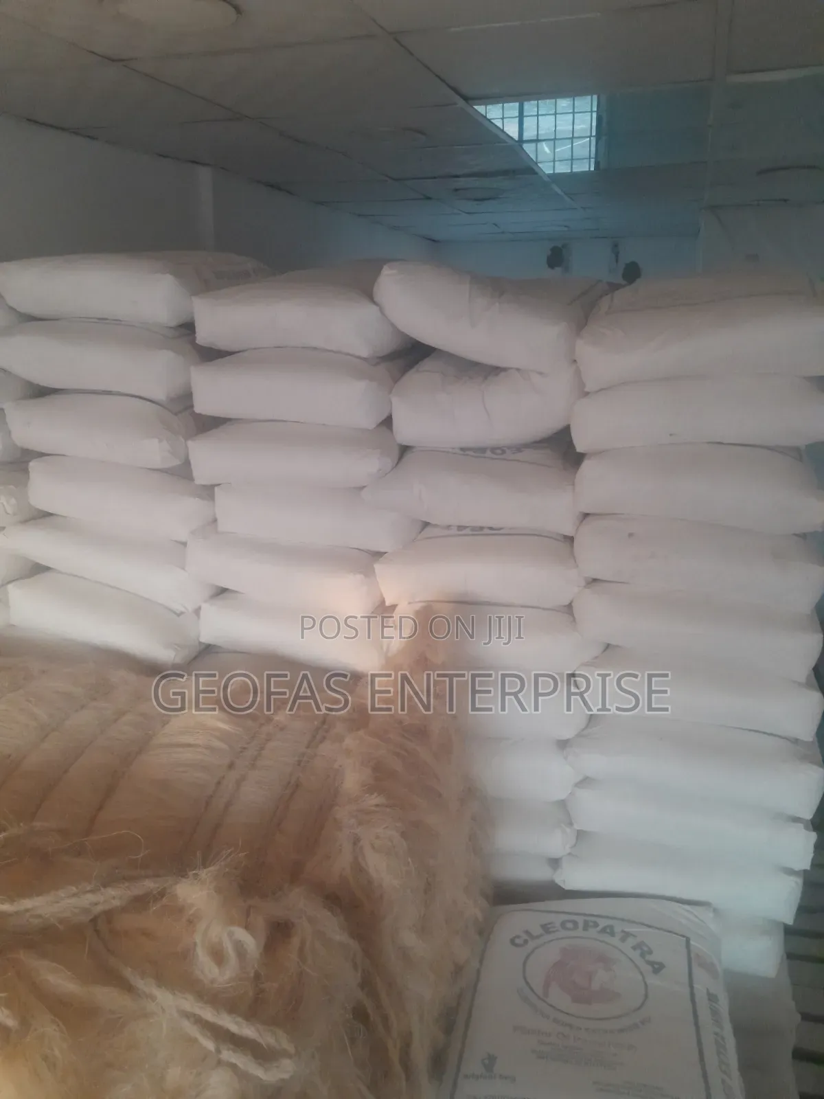 Cleopatra Super Extra White POP Cement