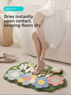 Absorbent Door Mat