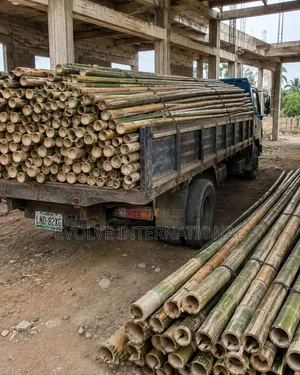 Rich Bamboo for Mordern Construction