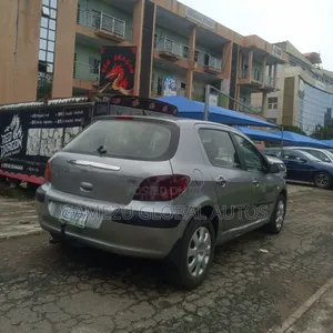 Peugeot 307 2.0 Premium 2008 Gray
