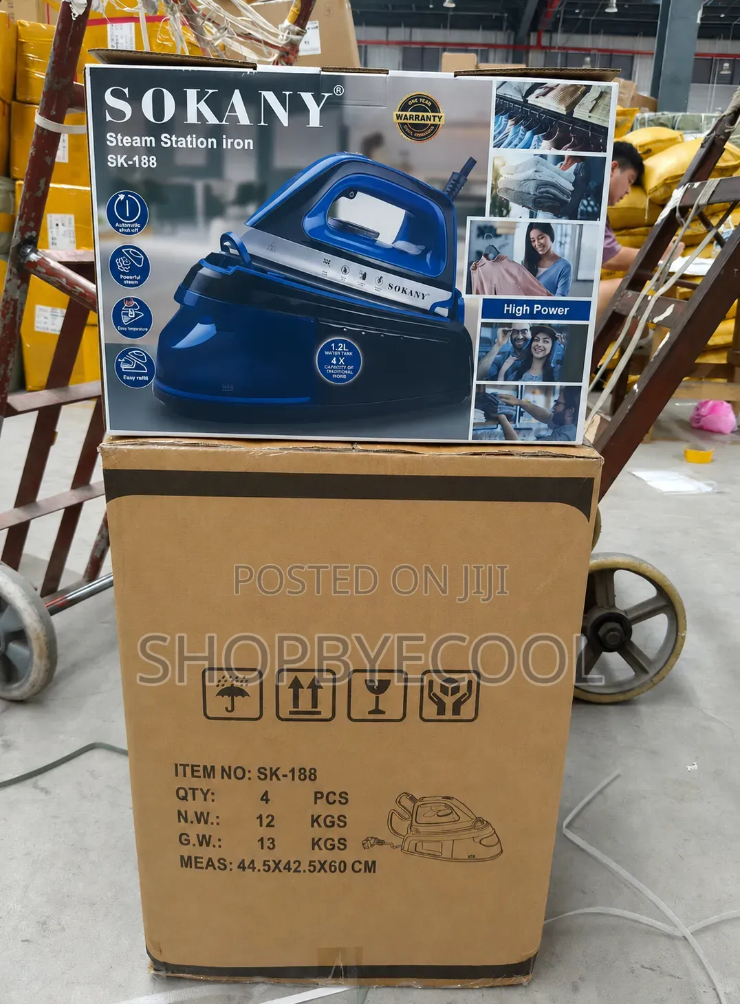 Steam Iron