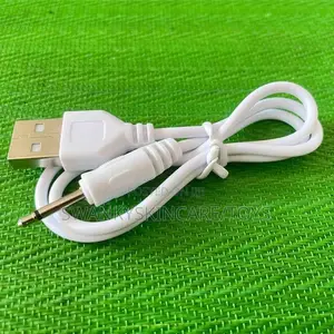 Pin Charger for Bullet and Wand Especially