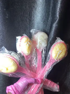 Body Brush/Sponge