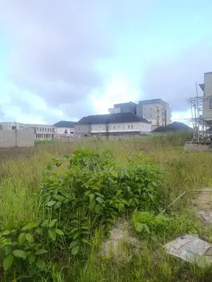 450sqm in a Fast Developing Estate in Awoyaya