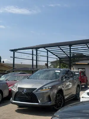Lexus RX 2022 Gray