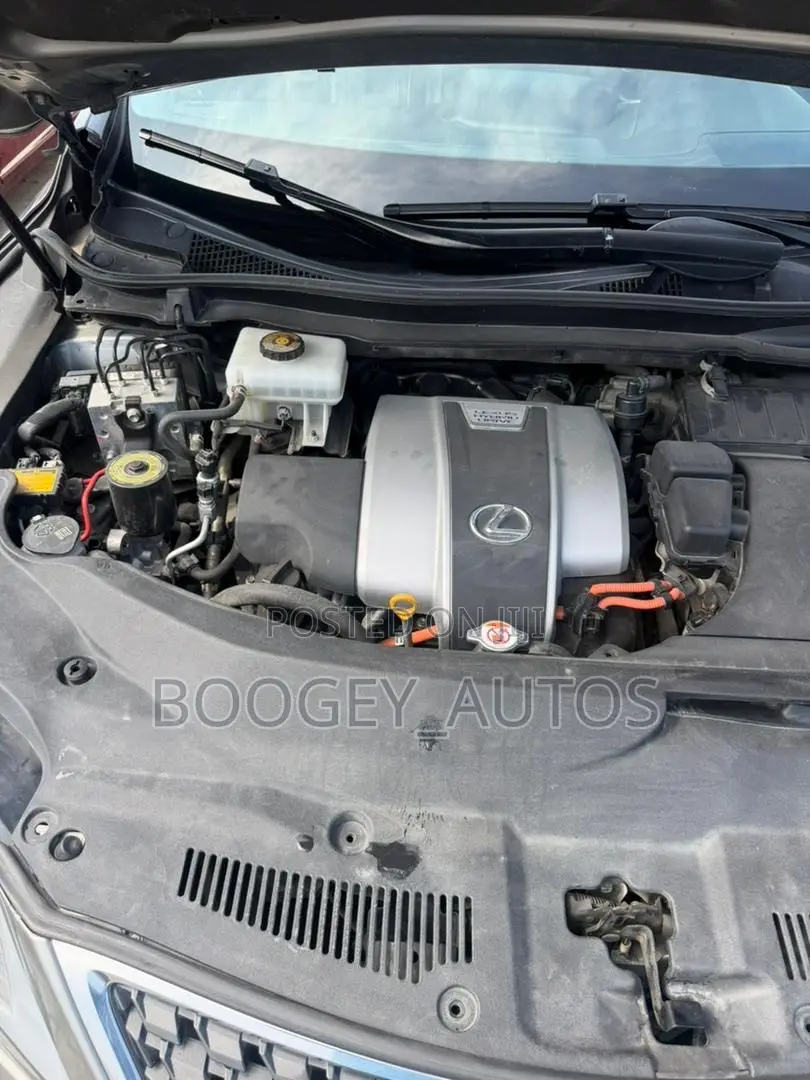 Lexus RX 2022 Gray