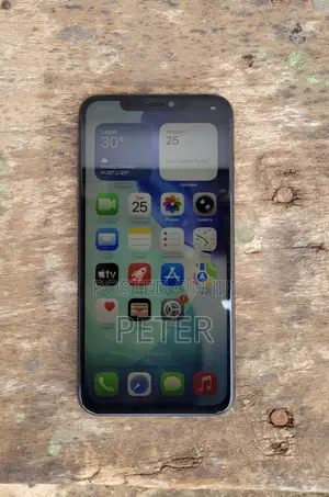 Apple iPhone 11 Pro Max 256 GB Gray
