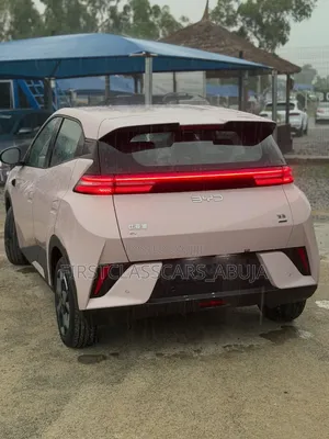 New BYD Seagull 2025
