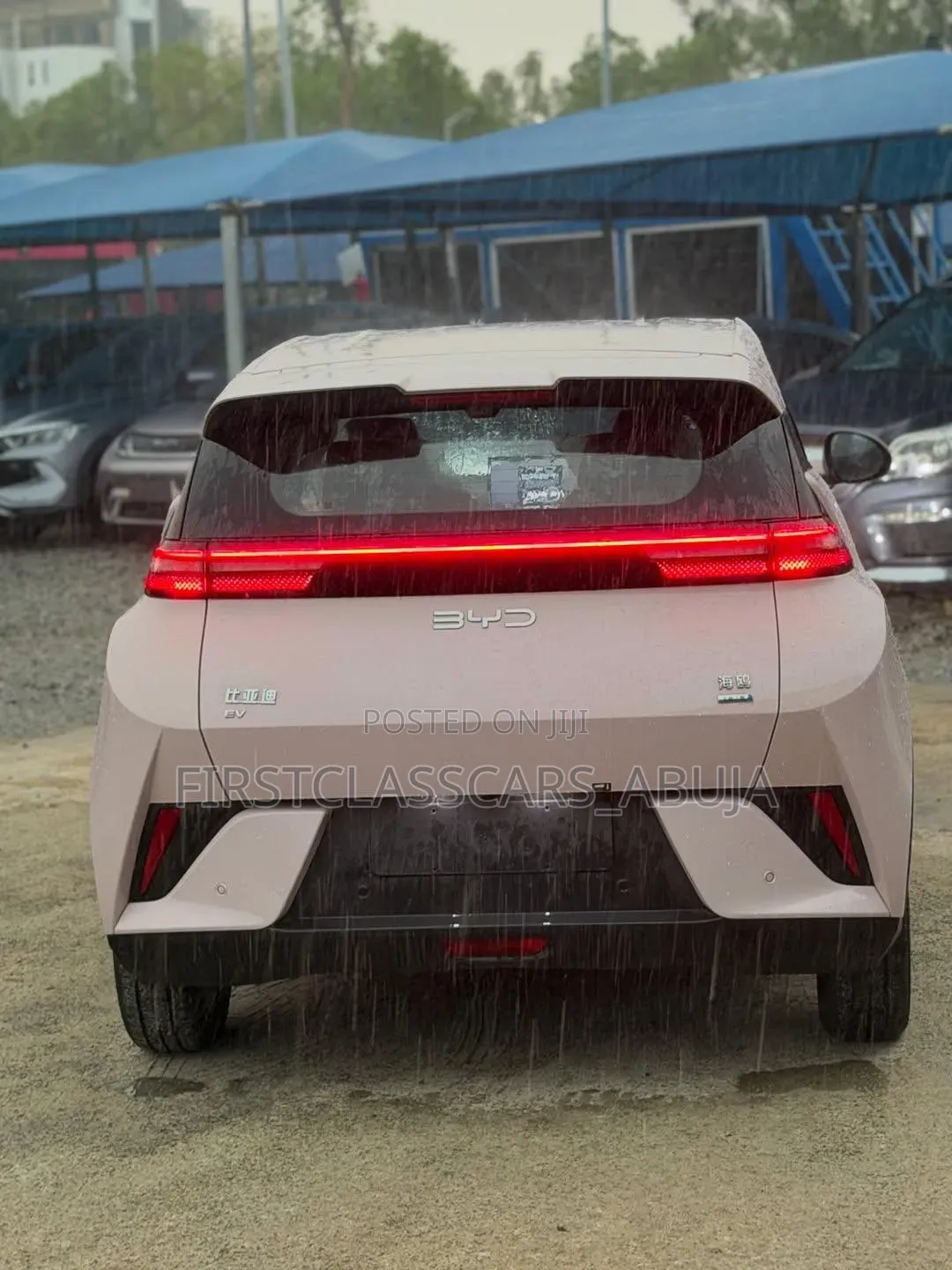 New BYD Seagull 2025