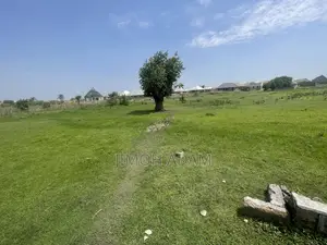 Half Plot Land