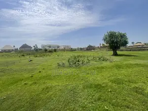 Half Plot Land
