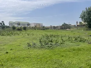 Half Plot Land