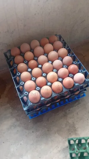 Fresh Farm Eggs