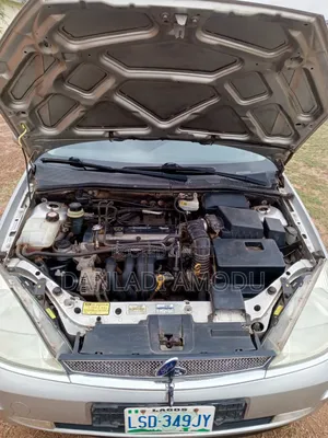Ford Focus 2005 Gray