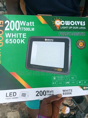 200 Watt Flood Light