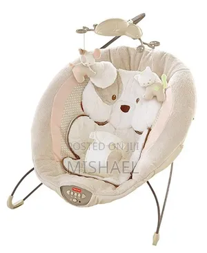 Baby Bouncer